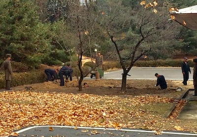 North Korean soldiers dig a trench and plant trees in the area where, on November 13, a defector ran across the border at the Demilitarized Zone dividing North Korea and South Korea. Reuters