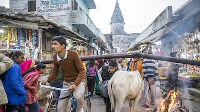 Tax cuts for middle-class workers and cash handouts for farmers re part of India's budget. Bloomberg