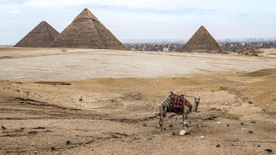 A camel waits at an overlook by the Giza pyramids necropolis on the southwestern outskirts of the Egyptian capital on March 13, 2020. AFP