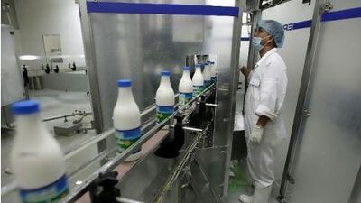 Altogether, the Marmum Dairy Farm produces about 20,000 litres of milk a day.