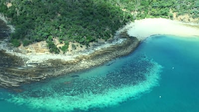 This undated handout photo from the ARC Centre of Excellence for Coral Reef Studies at James Cook University, shows an aerial survey of coral bleaching on the Great Barrier Reef. AFP