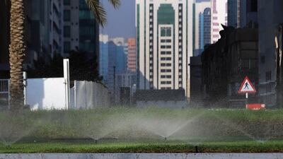 The treatment of water for use on ground cover will differ from that used on food crops for raw or cooked consumption. Delores Johnson / The National
