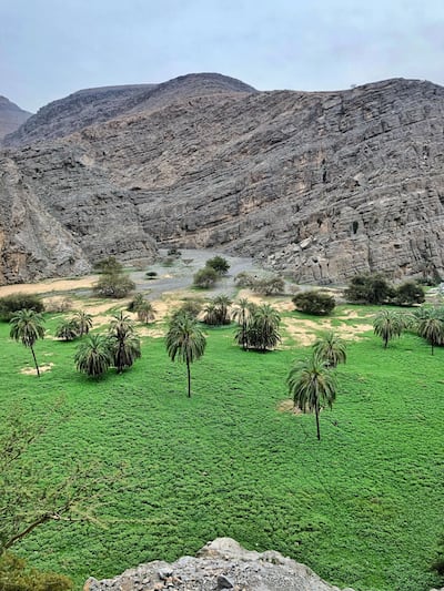 The Hidden Oasis trek heads to a luscious plain in the middle of the mountains. Courtesy Emirates Canyoneering Club