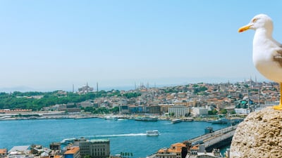 Etihad will fly to Istanbul, Turkey from September 1.