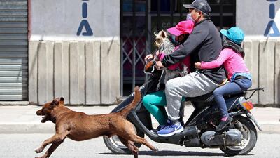 Inhabitants with face masks ride a motorcycle as a dog runs near them in the city of El Alto, Bolivia. EPA