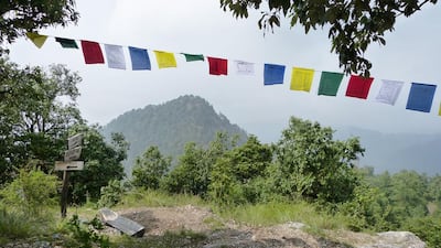 Plant and animal life on Flag Hill, near the hill station town of Mussoorie in north India, has been restored through the efforts conservationist Sejal Worah. Sejal Worah for The National