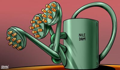 The National cartoonist Shadi Ghanim offers his take on the impact of the Nile Dam talks.
