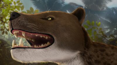 With sharp teeth and powerful jaw muscles, the Bastetodon is believed to have sat at the top of the food chain. Photo: Ahmad Morsi