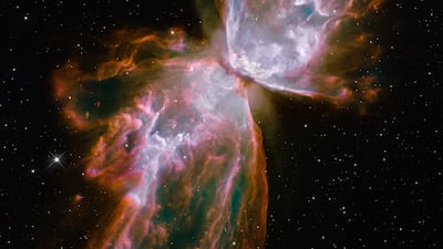 This is the NGC 6302 planetary nebula - commonly referred to as the Butterfly Nebula because of its shape. The ‘wings’ are gas heated to nearly 20,000°C and it is tearing across space at more than 950,000 kilometres an hour. At the centre of the nebula is a dying star that was once about five times the mass of the Sun. The image was captured by the Hubble telescope in 2009. Photo: European Space Agency