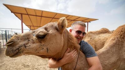 Lloyd De Villiers enjoys the experience of a camel hugging therapy session at The Camel Farm. Chris Whiteoak / The National