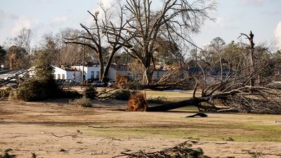 The tornado ripped through the city of Selma as well as nearby rural areas, uprooting trees and causing damage in seven counties. AP
