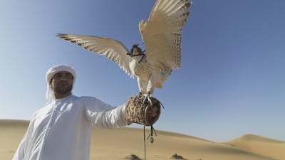 Demonstrations with birds of prey will be part of 'Rustic Landscapes'. Pixabay