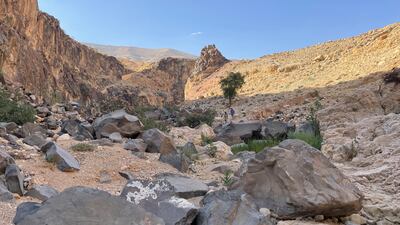 Wadi Hidan and Wadi Mujib, to the south, present tough challenges along the Jordan Trail