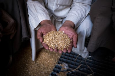 The war in Ukraine has disrupted global food prices. Bloomberg