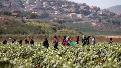 Farmers work near the border with Israel in the village of Khiam, Lebanon. Reuters