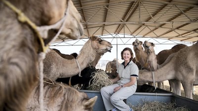 Dr Lulu Skidmore, scientific director at the Camel Reproduction Centre. Scientists in the UAE have been at the forefront of adapting techniques such as cloning and embryo transfer for camels. Reem Mohammed / The National