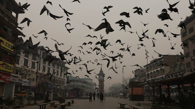 Pigeons fly near the clock tower on a cold morning in Srinagar, India. EPA