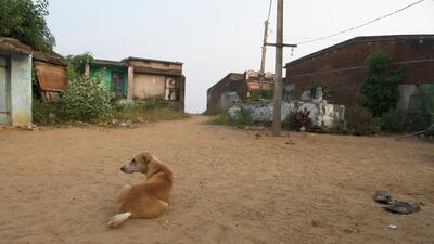 Houses after houses, with their cracked walls and broken sills have long been abandoned by their inhabitants in the ghost village situated less than 200 metres from the shore.