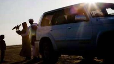 While falcons remain a symbol of national identity, other aspects have come under threat.