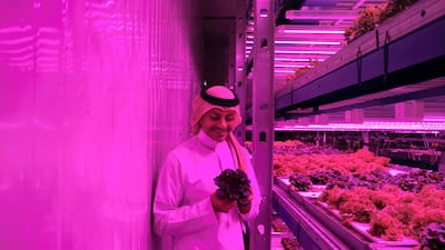 Omar Al Jundi is the founder and chief executive of Badia Farms, the region’s first vertical farm, in Al Quoz, Dubai. Reem Mohammed/The National