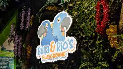 The Al Qana attraction is home to 46,000 creatures from 300 species.