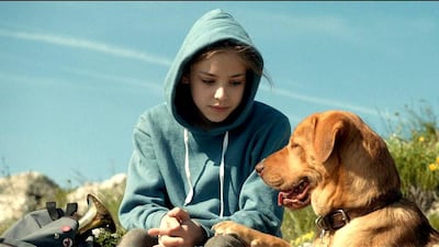 Zsofia Psotta as 13-year-old Lili in a scene from White God. Courtesy Cannes Film Festival