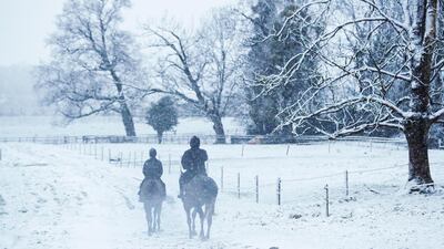 Horses on the gallops in the snow at Sam Drinkwater's Granary Stables in Upper Strensham, Worcester. PA