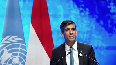 Rishi Sunak is expected to announce the deal shortly after Cop27. Reuters