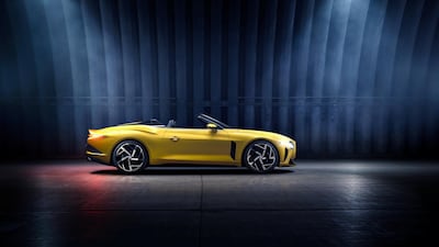 Sleek lines on the Bacalar.