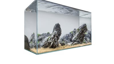 The tank itself comes from Japan, and is made of handcrafted low iron sapphire crystal glass, which is known for its high visibility.