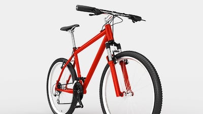 Mevan Babakar her heart 'exploded with joy' when she was given the bike.