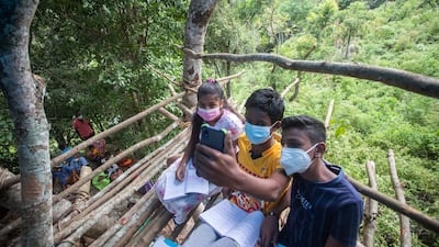 Sri Lankan students sharing one smartphone attend their online classes from a tree house on a mountain in a reserve forest in Lunugala, Sri Lanka. AP