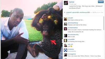 Tyrese Gibson's Instagram posting of an interaction with a chimpanzee in the UAE.