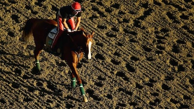 Kentucky Derby and Preakness winner California Chrome will face former juvenile star Shared Belief in their seasonal debuts. Al Bello / AFP
