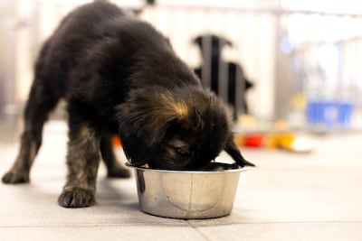 Giving money to a cause could be breaking the law, officials said. PA