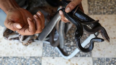 Yaseen, 55, lives in Jordan's Irbid province and has a number of snakes at his home.