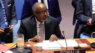 Abukar Osman, Somalia's representative to the UN, speaks during a Security Council meeting in New York on December 29. EPA