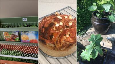 Being stuck at home doesn't have to be a bore, there are plenty of things to discover at home.