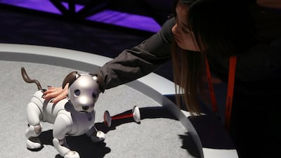 The new edition Sony Aibo robot dog incorporates a series of sensors, cameras, and actuators to activate the pup and keep it interactive, as seen inside the Sony display area. AP Photo