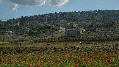 'Also, we were exposed to an earthquake, and we were very frightened, but now we are starting to recover from its effects. Because we have no choice but to continue our lives and adapt'