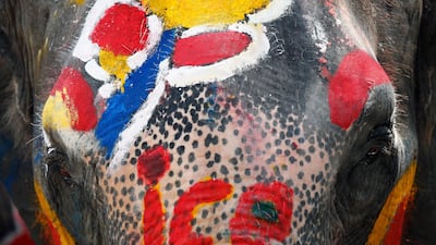 A painted elephant during a preview of the Songkran Festival celebration, also known as the Water Festival, in the city of Ayutthaya, Thailand. EPA