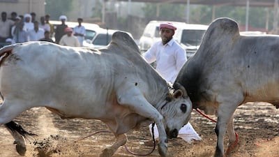 Pawan Singh / The National