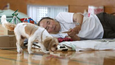 An evacuee watches his pet dog at an evacuation centre in Soja, Okayama. Kyodo News / AP
