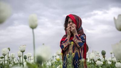 A girl stands in a poppy field in Kandahar province. The narcotics industry has partly fuelled the long war in Afghanistan. Photo by Stefanie Glinski