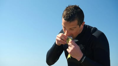 Grylls is a British adventurer, former SAS soldier and celebrity survivalist Courtesy Discovery