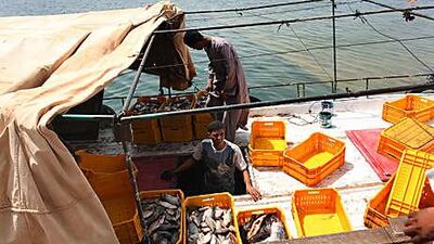 Fishermen have wrestled for decades with a number of unsuccessful policies to manage fishing on Lake Nasser.