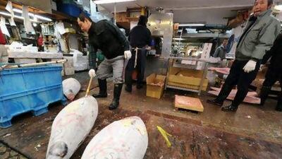 A wholesaler prepares tuna for customers at Tokyo's Tsukiji market, which has been hit hard by the effects of the earthquake and tsunami. Kennedy Brown / EPA