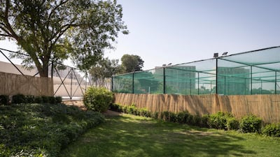 Pupils will be trained to be junior beekeepers under the initiative led by the Terra Pavilion at Expo City Dubai. Antonie Robertson / The National