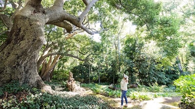 Hundred-year-old trees fill the extensive gardens