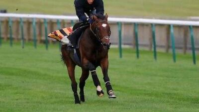 Shane Fetherstonhaugh takes Frankel on a gallop in practice at Newmarket racecourse. Wet weather may make the going at Ascot soft.